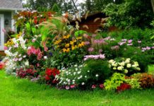 Цветник на огороде