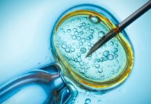 ЭКО: методика, которая приносит в дом счастье материнства