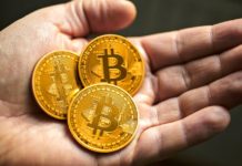 Биржа криптовалюты: как торговать и заработать?