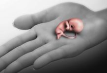 Можно ли в первом триместре беременности пить и курить?