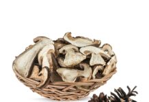 Белые сушеные грибы: калорийность, полезные свойства