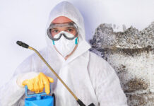 Этапы проведения дератизации