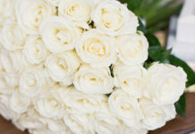 К чему дарят белые розы?