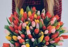 Тюльпаны, как символ 8 марта