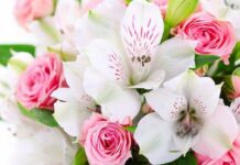 Преимущества заказа букетов через интернет с доставкой