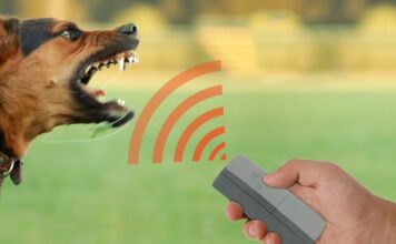 Ультразвуковой отпугиватель собак