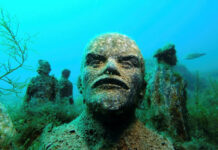 Дайвинг на Тарханкуте — уникальная возможность исследовать подводный мир