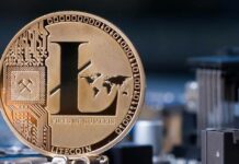 Litecoin запускает сервис дебетовых карт Visa