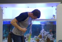 Как почистить аквариум для рыбок