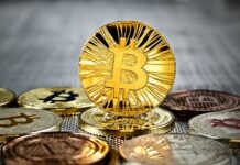 Инвестиции в криптовалюту: во что вложить деньги