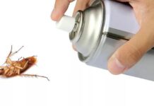 Как избавиться от тараканов