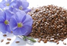Чудодейственные свойства семян льна для организма