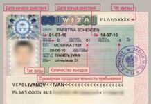 Виды шенгенских виз