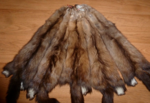 Шкурки соболя — способы их использования