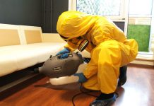 Уничтожить клопов: особенности и порядок дезинсекции