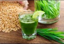 Витграсс — сок ростков пшеницы для здоровья и долголетия