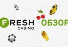 Подробный обзор казино Фреш