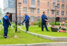 Особенности летней уборки территории
