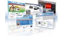 Сайты начали делить на 2 категории