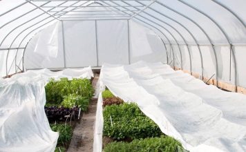 Спанбонд 60 г/м2 и его применение на дачном участке