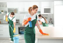 Профессиональный клининг квартир: гарантия безупречной чистоты