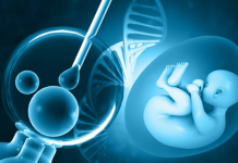 Технологии поддержки ЭКО: как увеличить шансы на успешное зачатие