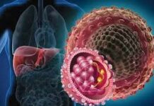 Как предотвратить гепатит и лечить это заболевание