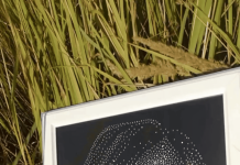 Профессия кристаллайзер