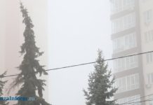 7 октября пензенцев ждет дождливый и туманный день