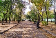 История Пензы: Горожане превратили фонтан в новом сквере в помойку