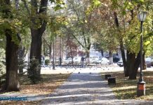 8 октября температура в Пензенской области поднимется до +19 градусов