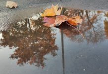 10 октября в Пензенской области местами пройдет небольшой дождь