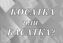 «Косатка» или «касатка» — как правильно?