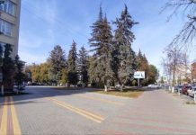 История Пензы: Усадьба Людвиг в центре города славилась садом