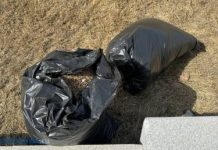 Из Пензы во время месячника вывезли 4 000 кубометров мусора