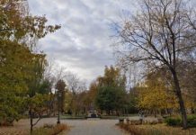 14 октября в Пензенской области будет прохладно и ветрено