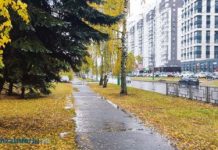 23 октября в Пензенской области ожидаются небольшие осадки