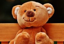 27 октября — День плюшевого мишки