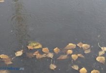 Синоптики рассказали о погоде в Пензенской области 30 октября