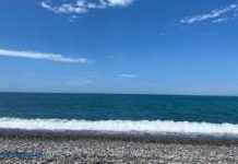 31 октября — Международный день Черного моря