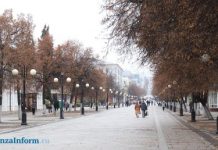 3 ноября в Пензенской области будет сухим и почти безветренным