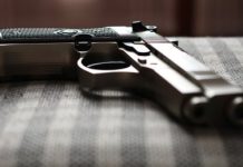 В российском регионе женщина решила расстрелять собак и попала в голову ребенку