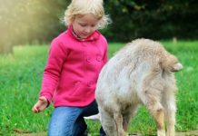 13 ноября посвятим день добрым делам