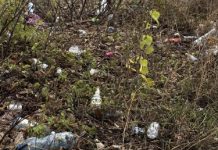 Пешеходная зона в Арбекове превращается в свалку