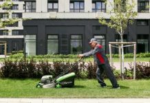 Перечислены 8 фактов об управляющей компании «Рисан Сервис»