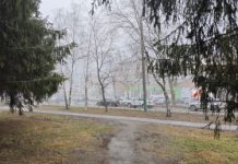 В Пензенской области ожидаются небольшие осадки