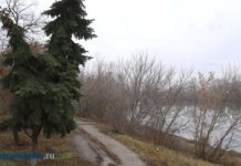 6 декабря в Пензенской области ожидаются осадки