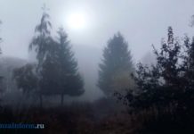 7 декабря в Пензенской области ожидается туман