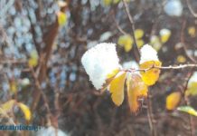 Метеорологи дали прогноз погоды в регионе на 9 декабря