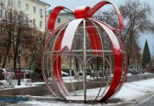 21 декабря в Пензенской области ожидается небольшой снег